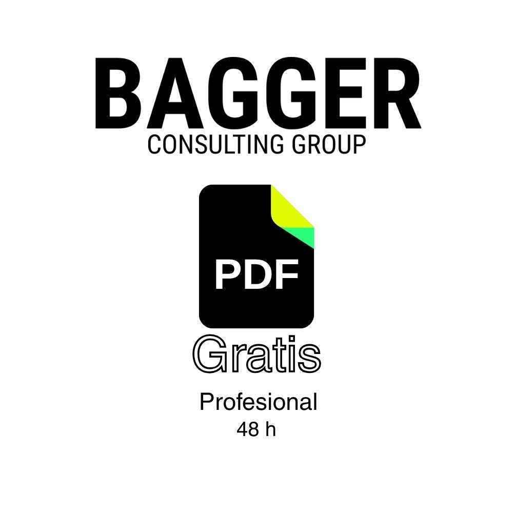 Auditoría SEO gratis para tu web online profesional - Bagger Consulting Group
